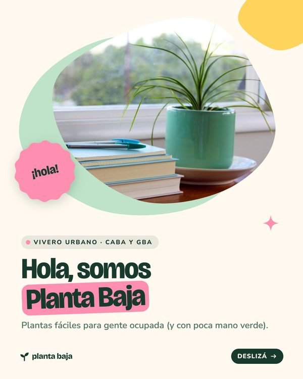 Hola, somos Planta Baja · Planta Baja
