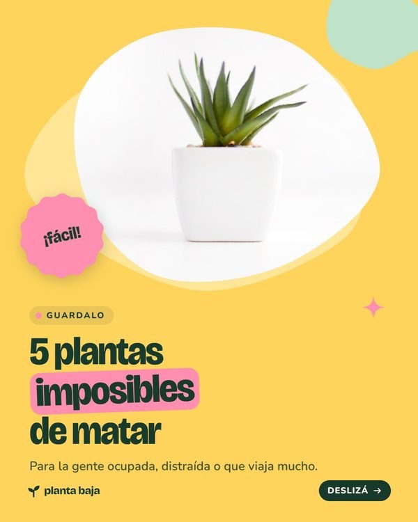 5 plantas imposibles de matar · Planta Baja