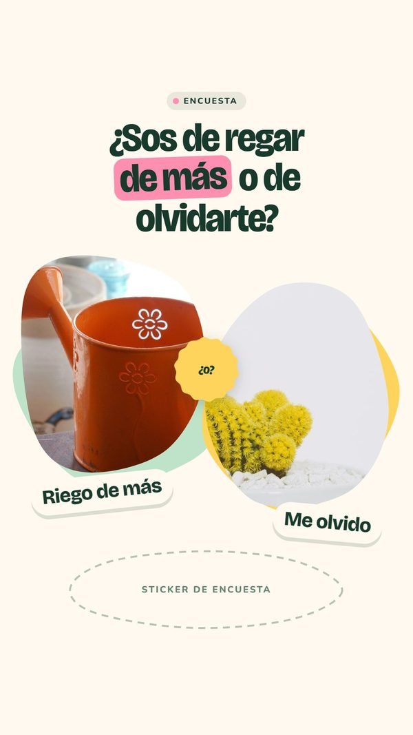 ¿Sos de regar de más o de olvidarte? · Planta Baja