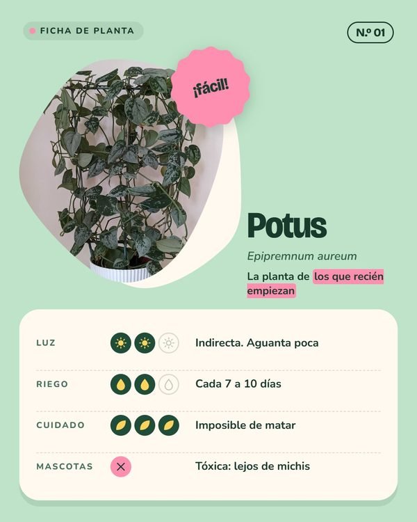 P04 · Planta Baja