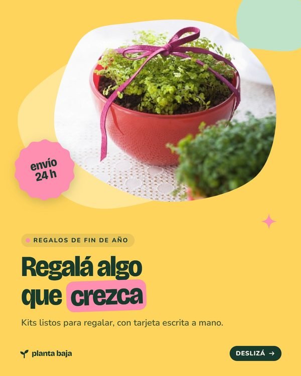 Regalá algo que crezca · Planta Baja