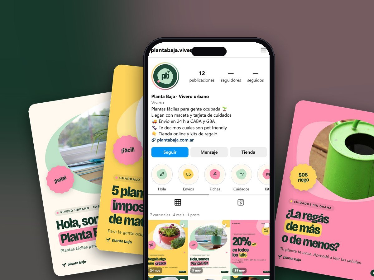 Portfolio Planta Baja