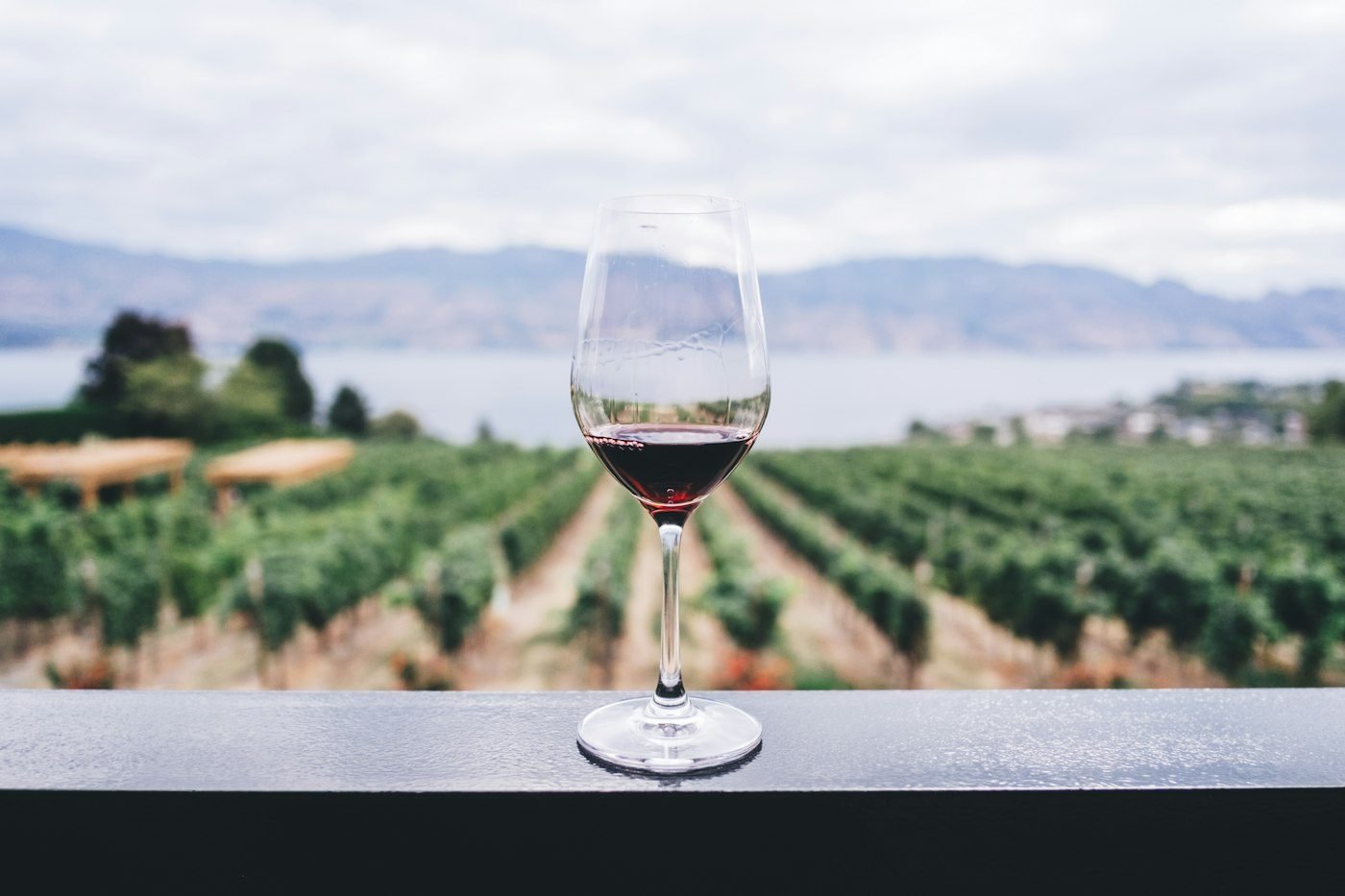 Copa de vino frente a un viñedo y montañas