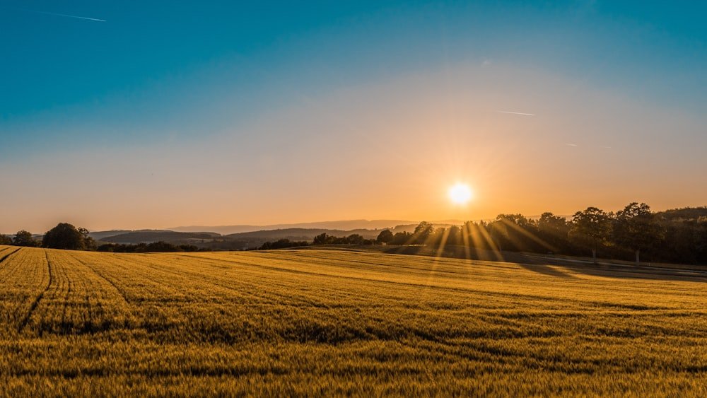 Campo y Fracción Agrícola